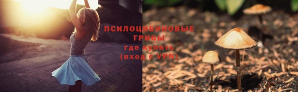 соль ск Абаза
