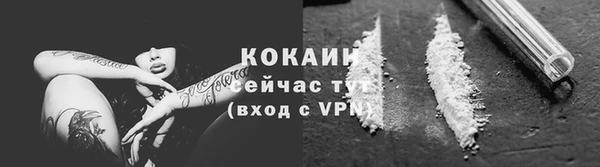 соль ск Абаза