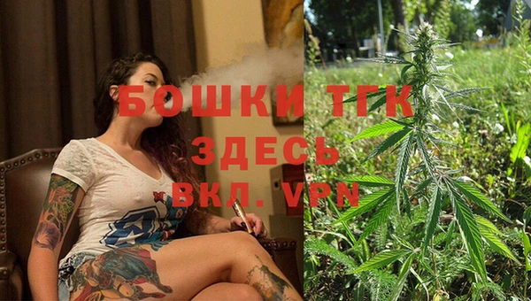 соль ск Абаза