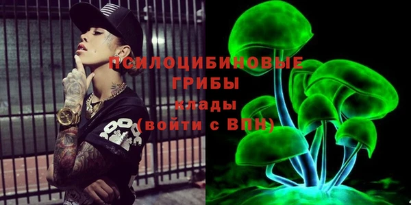 дурь Протвино