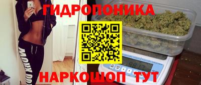 2c-b Гусиноозёрск