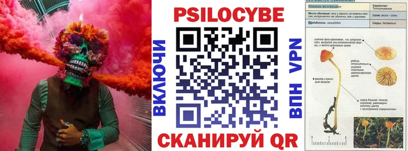 Псилоцибиновые грибы мицелий  kraken сайт  Кудымкар 