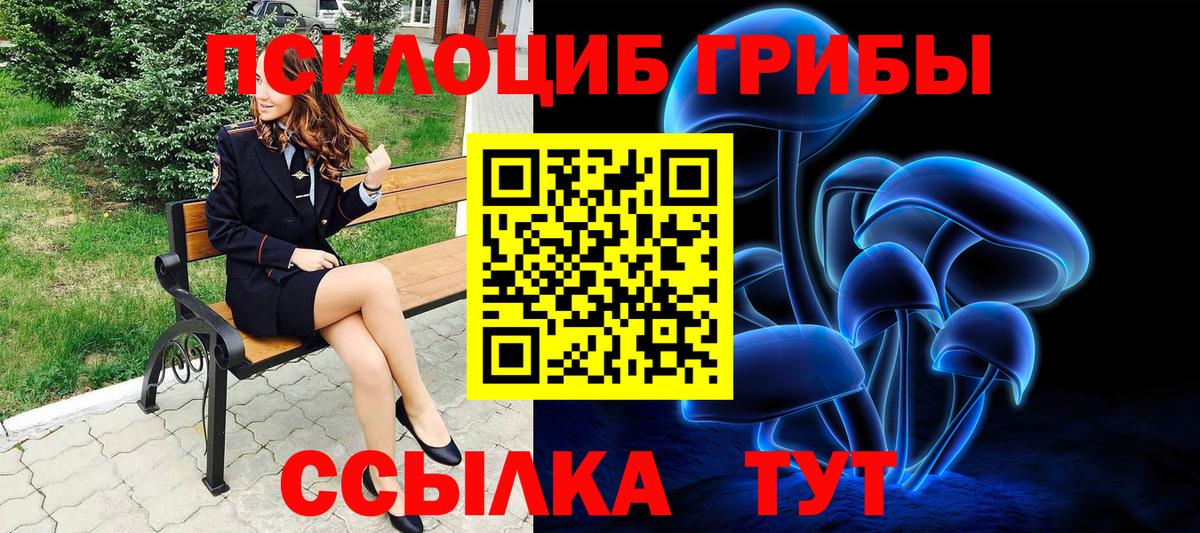 Галлюциногенные грибы Psilocybine cubensis  Галлюциногенные грибы мицелий  купить наркотик  Кудымкар  Вход с VPN 